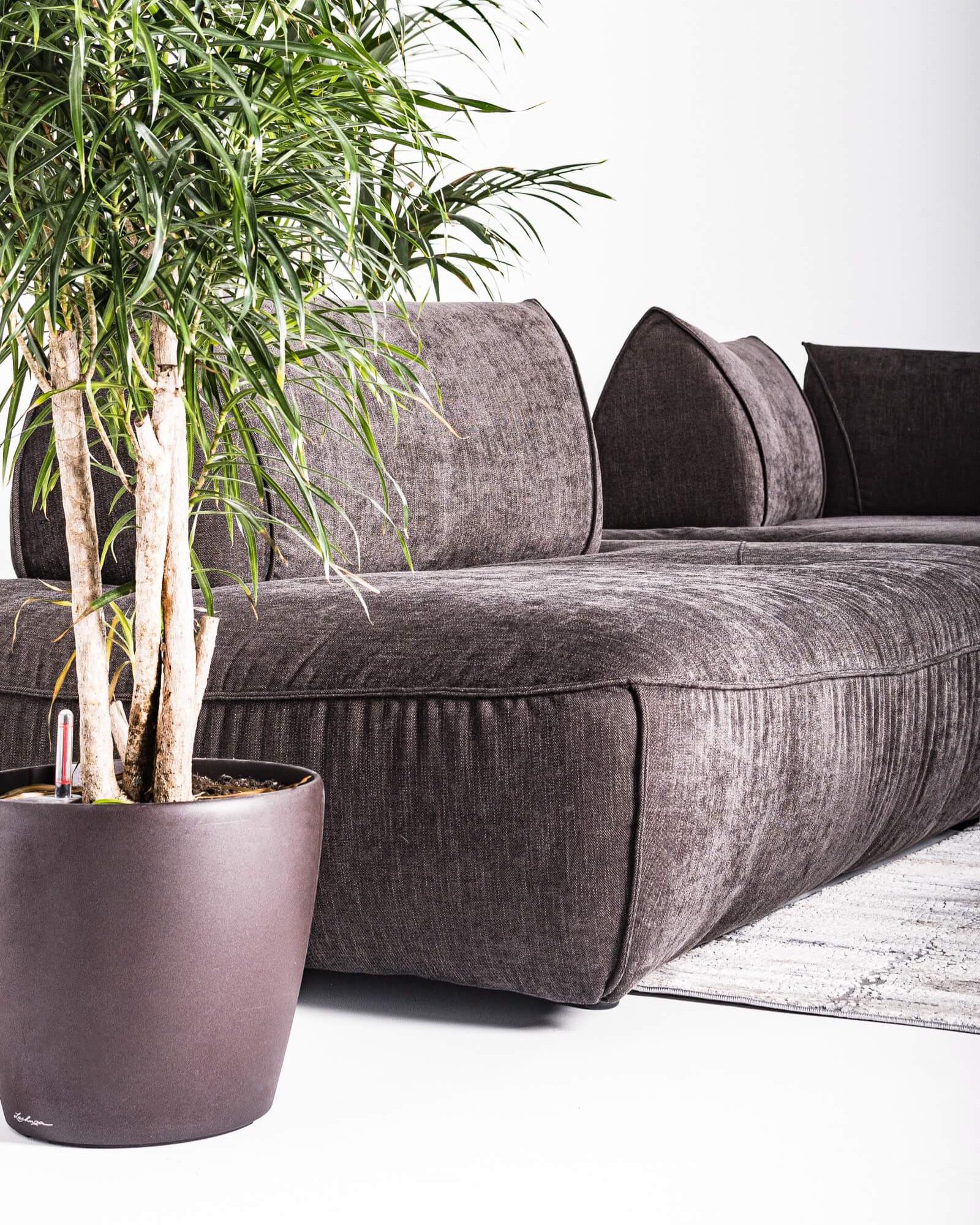 Alternative view of Modular Conery