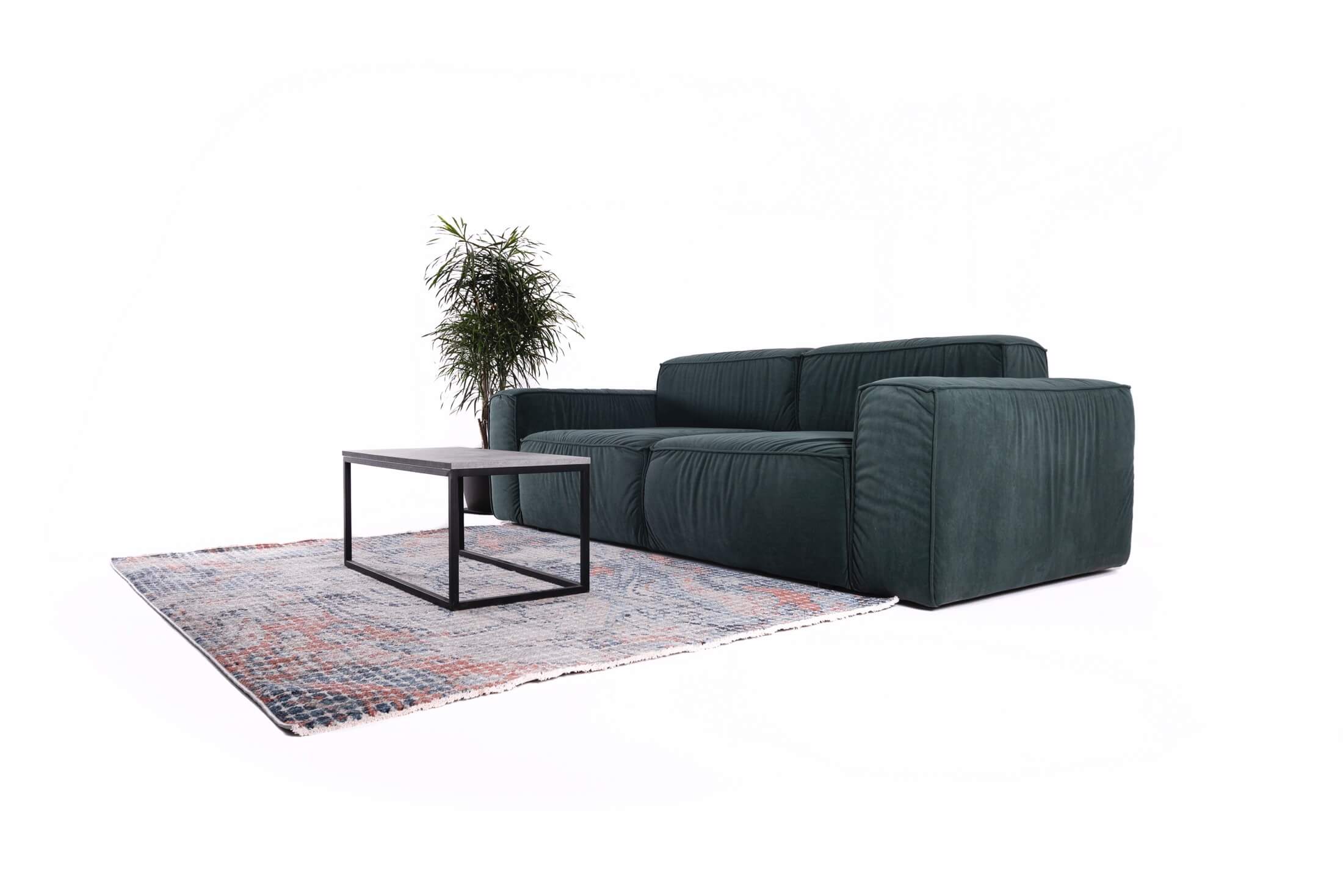 Alternative view of Canapea Modus Puma