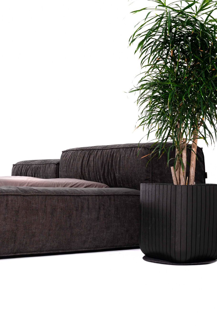 Alternative view of Bed Loft Dark