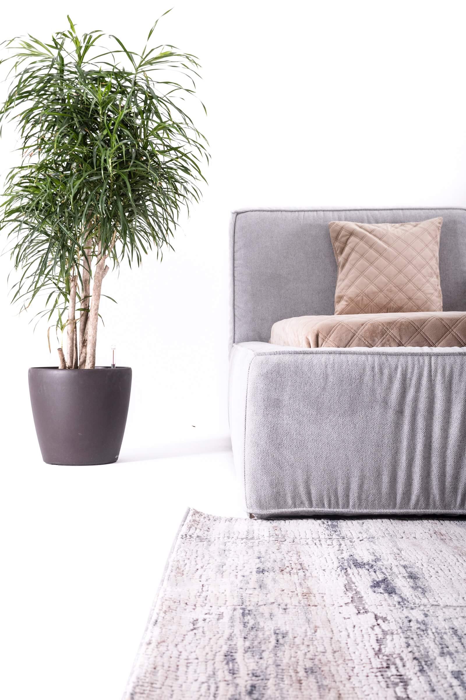 Dormitor Loft light - imagine 4